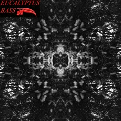 Bass Room