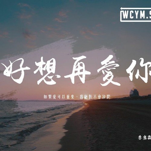 季彥霖 - 好想再愛你「如果愛可以重來，我絕對不會放開」【動態歌詞/pīn yīn gē cí】
