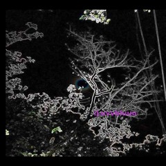 Cold Nights//prod.mxtch//.wav