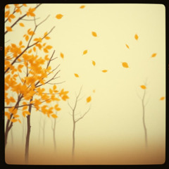 🍂 Peaceful November