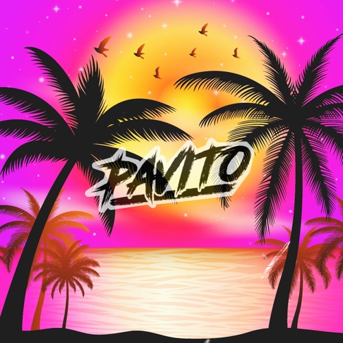 Pavito - SA Vibez (Promo Mix)