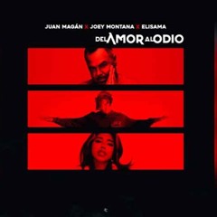 JUAN MAGAN FT JOEY MONTANA,ELISAMA - DEL AMOR AL ODIO (Dj David Toran Edit)