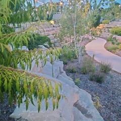 SHAWTY Wyd Realsparc (Official Audio).wav