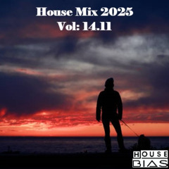 House Mix 2025 Vol: 14.11