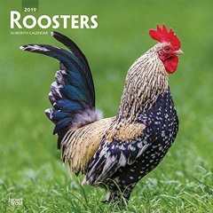 [Get] [PDF EBOOK EPUB KINDLE] Roosters 2019 12 x 12 Inch Monthly Square Wall Calendar