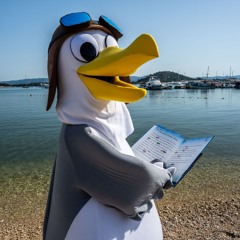 Tko je galeb?