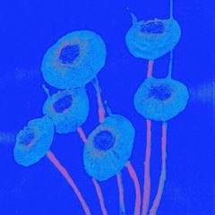 xxxllfkjfoqaaax111'1