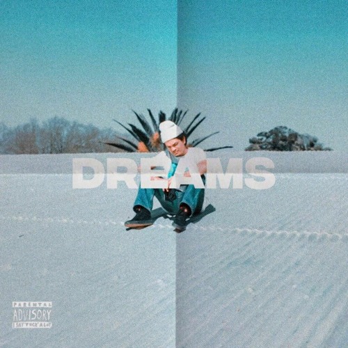 DREAM$