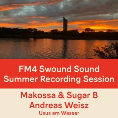 FM4 Swound Sound #1359