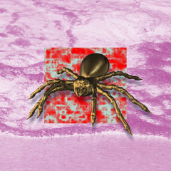 This fire (feat. Simone Morabito)