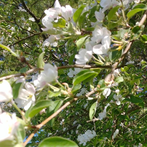 Stream im falling apart by 888AT! Listen online for free on SoundCloud