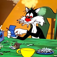 sylvester (Prod by outtafunds)