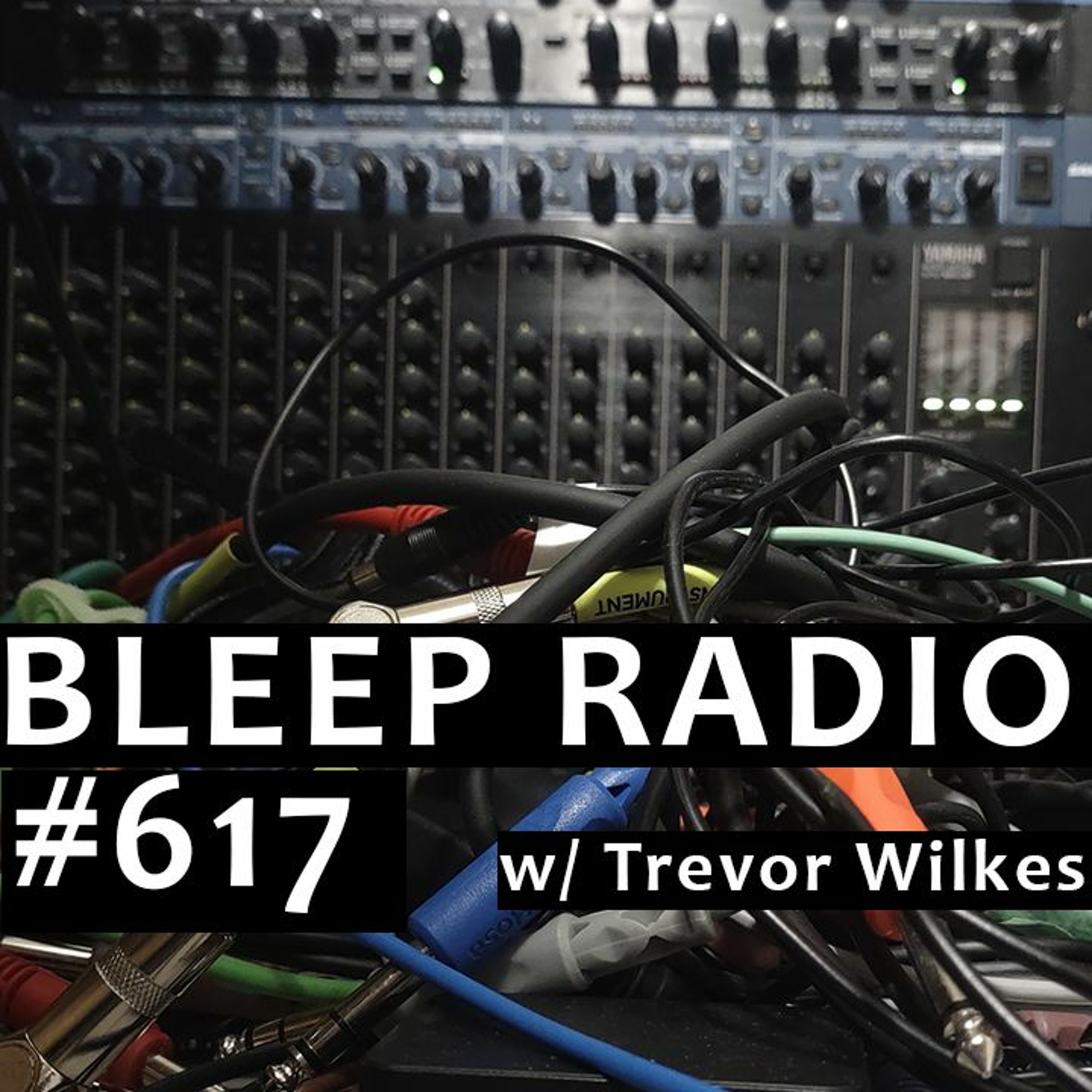 Bleep Radio #617 w/ Trevor Wilkes [Allowances For Work, I Guess] episode artwork
