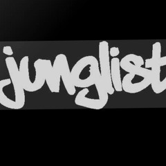 back to the jungle mix .mp3
