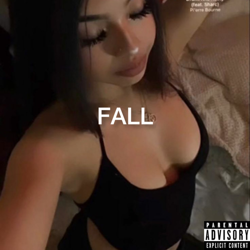 fall (prod. fr4ud)