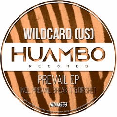 Wildcard (US) - Break It (Fun Mix)