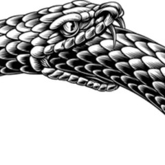 BehindTheVeilOfMyMind