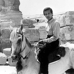 ‎أعلّل قلبِي والفُؤادُ عليلُ | نادرة