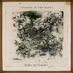 Asunder In The Midst