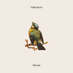 Miracle