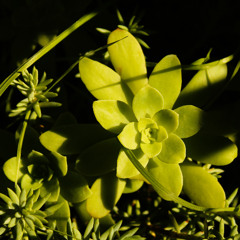 Corners and Egdes (piano instrumental)