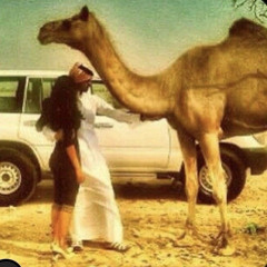 ‎⁨  صاين حبس