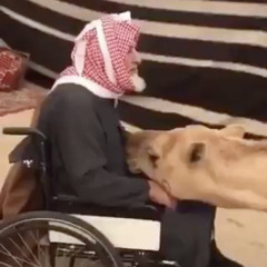 انا لي وليف