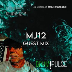 MJ12 - DNP STRDY | Drum n Pulse