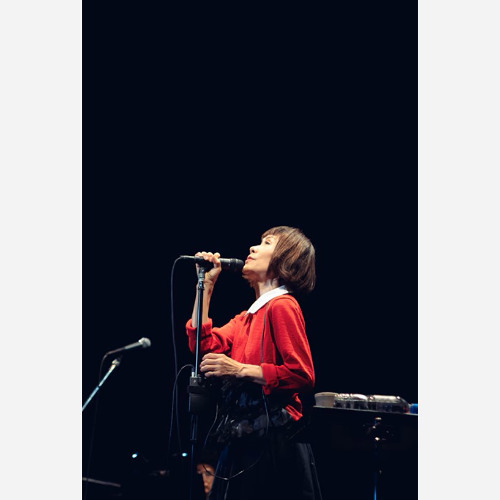 2LP 大貫妙子 ピーターと仲間たち COJA9548 NIPPON COLUMBIA 未開封 /00660 ピーターと仲間たち (2枚組アナログレコード) : 大貫妙子