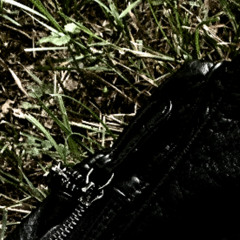 güaard track 7 demo