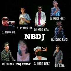 FEATURING  HARD IN THE SKY -NBDJ team