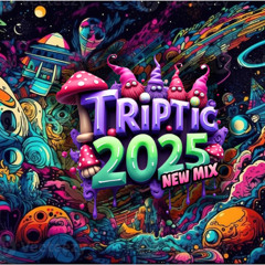 Triptics 2025 New Year DnB mix