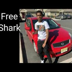 Free Shark