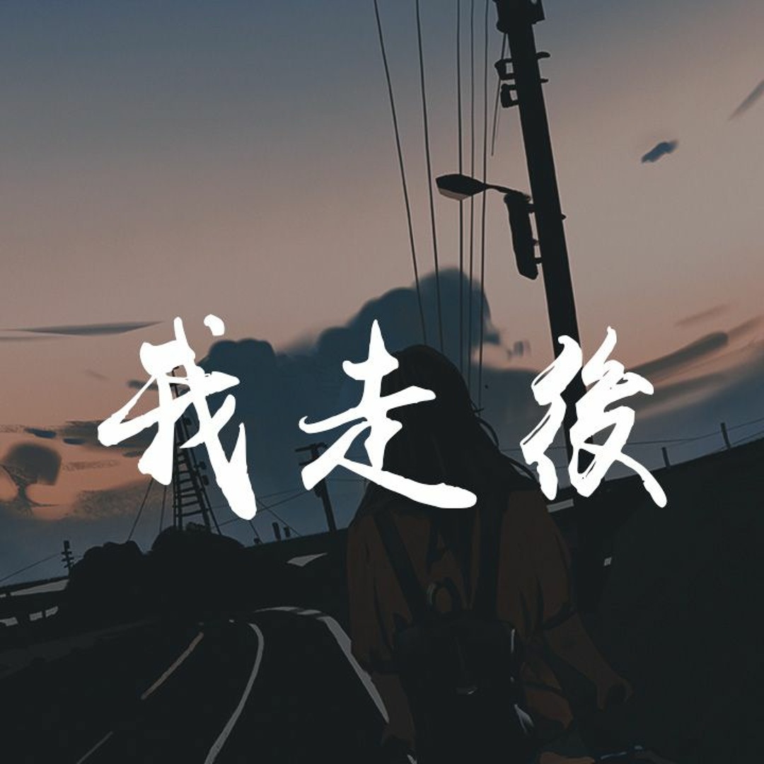 Listen to 卢卢快闭嘴- 我走后「我走了你别再难过，心里有话都不想再说」【動態歌詞/Lyrics Video】 by WCY Music  Studio in 伤心playlist online for free on SoundCloud