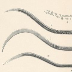 VoxOfChaos & Inexistence - du aystegh ch’es (դու այստեղ չես)