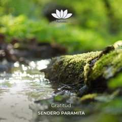 Meditacion De Gratitud Y Arraigo