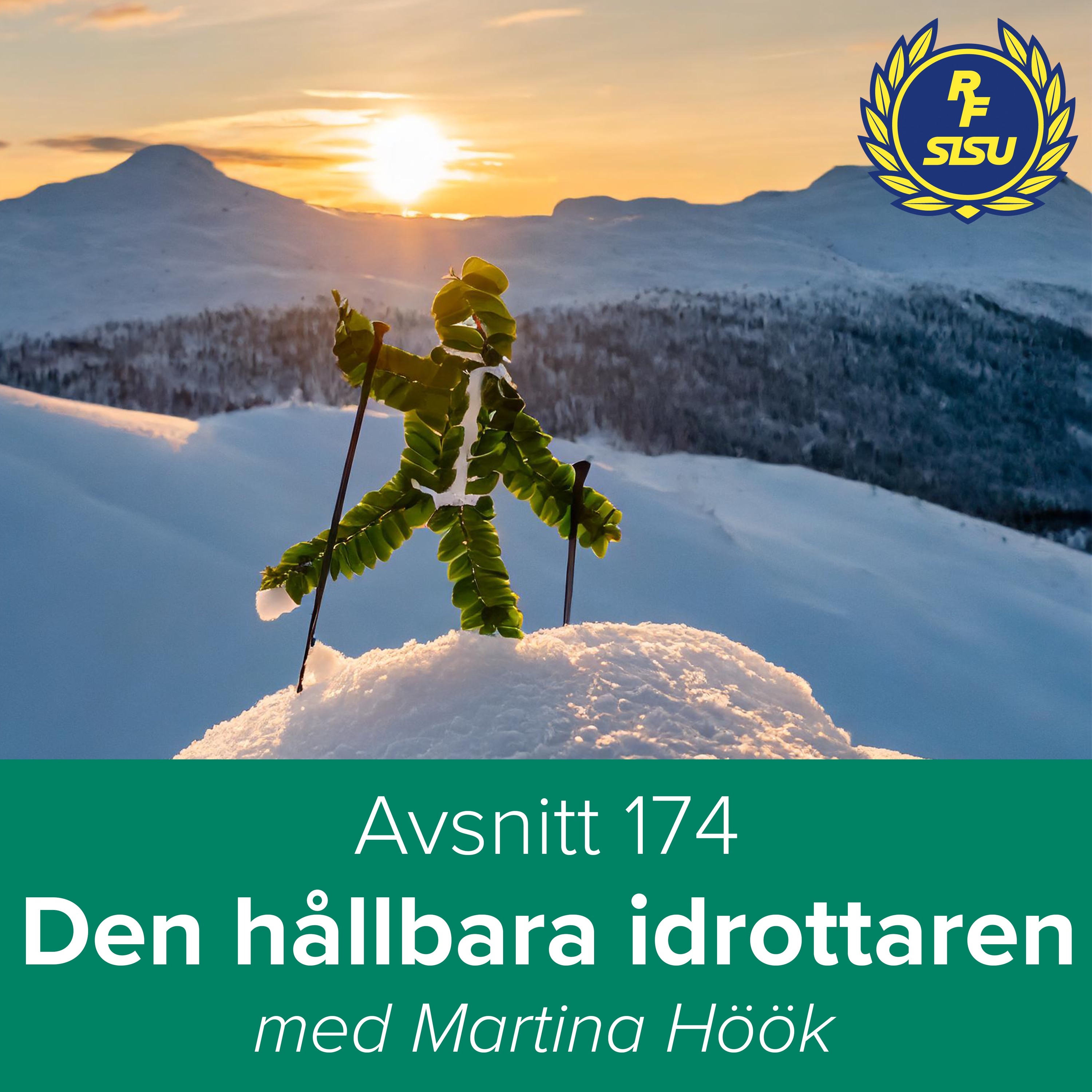 Här pågår föreningsidrott