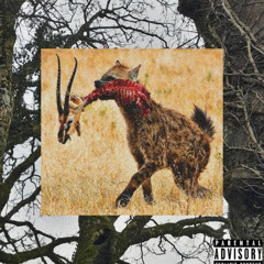 $UICIDEBOY$ Type Beat – "house of horrors"