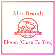 The Paper Kites - Bloom (Close To You) (Alex Brandt Remix)