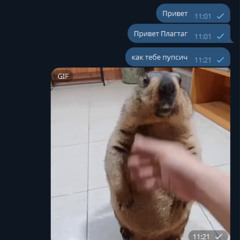 dj мясо, plgthg - trust