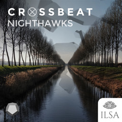 Nighthawks (2021 Radio Edit)