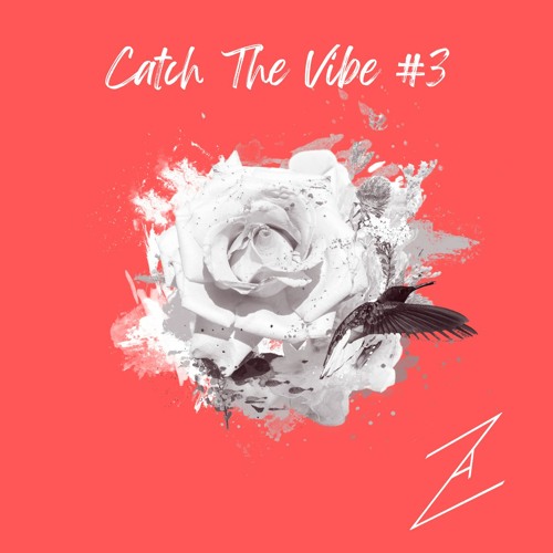 Catch The Vibe #3