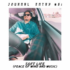 JOURNAL ENTRY 8- SOFT LIFE (PEACE OF MIND AND MUSIC)
