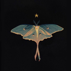 Star prod. engless & Midnight Desperado