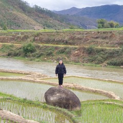 Nhạc Việt Remix