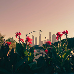 Hidden Gem (Instrumental)