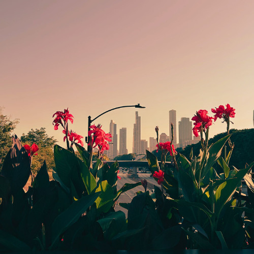 Hidden Gem (Slowed + Reverb Instrumental)