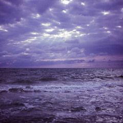 Under the Purple Sky