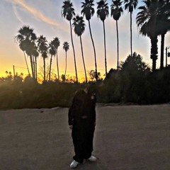 flu flammer (prod. gav)