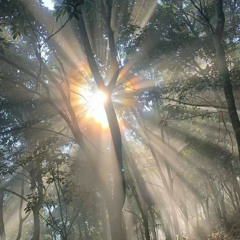 cristales - dj2008version